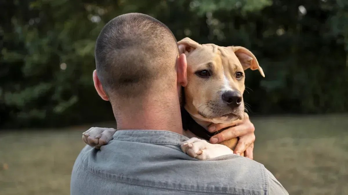 Antes de ter um cachorro: 7 perguntas essenciais para não se arrepender